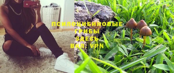 каннабис Белая Холуница
