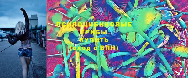 МДПВ Дмитровск