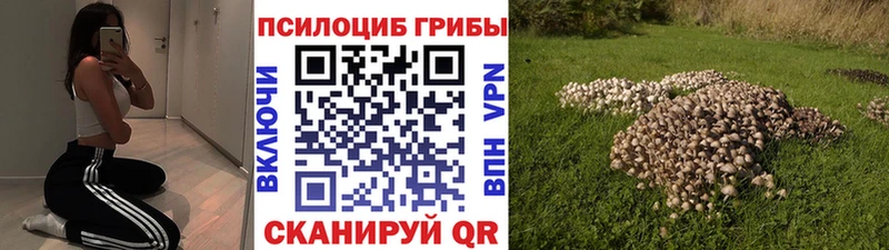 omg зеркало  Пионерский  нарко площадка наркотические препараты  Псилоцибиновые грибы мицелий 
